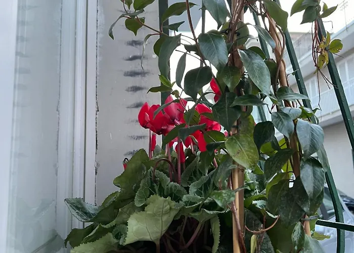 As Nocleg ze śniadaniem 3*